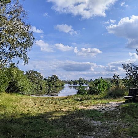 Sfeervol Chaletje In Een Rustige Bosrijke Omgeving Diessen Zewnętrze zdjęcie