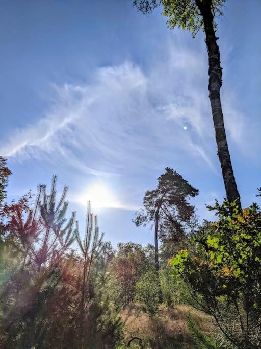 Sfeervol Chaletje In Een Rustige Bosrijke Omgeving Diessen Zewnętrze zdjęcie
