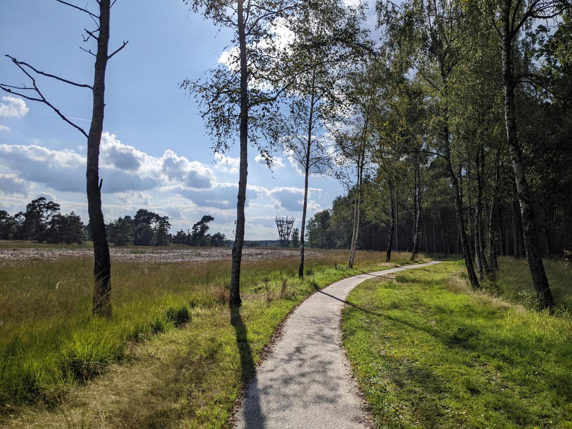 Sfeervol Chaletje In Een Rustige Bosrijke Omgeving Diessen Zewnętrze zdjęcie